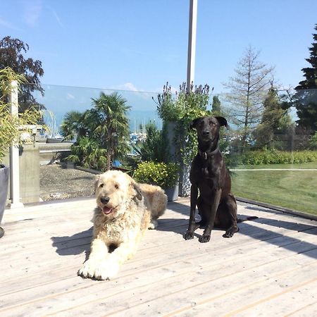 Lakelodge Romanshorn Bagian luar foto