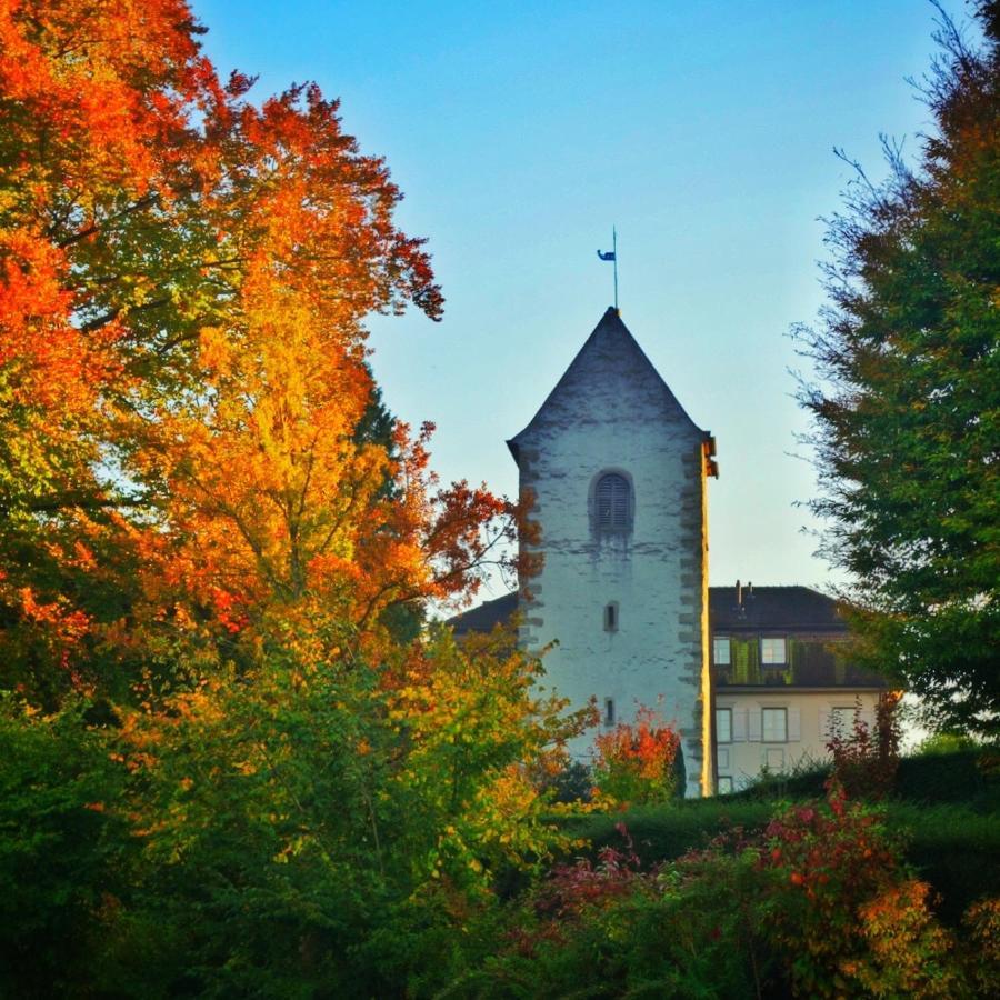 Lakelodge Romanshorn Bagian luar foto