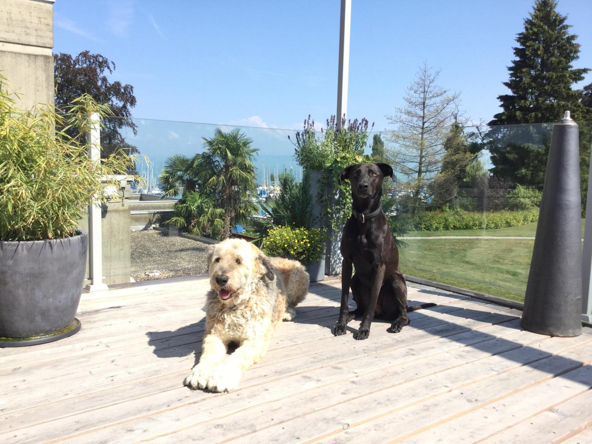 Lakelodge Romanshorn Bagian luar foto